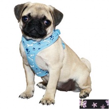 Lit'l Pals Soft Mesh мягкая шлея для собак