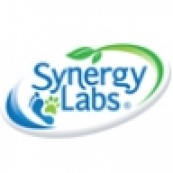 SynergyLabs
