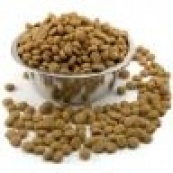 Корми для тхорів