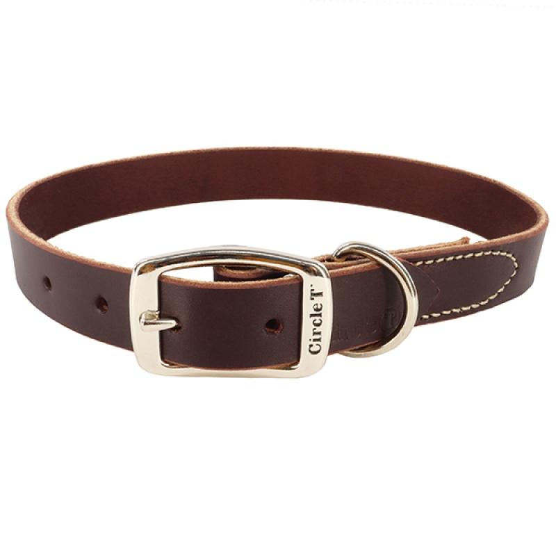 Coastal Circle T Latigo Town нашийник для собак, коричневий