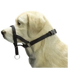 Pet Pro ДОГ КОНТРОЛЬ дрессировочный поводок для собак