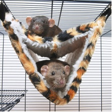 Savic РЕЛАКС ДЕЛЮКС ТУНЕЛЬ МЕХ (RelaxDeLuxeTube) гамак для хорьков и крыс 35*21см Savic РЕЛАКС ДЕЛЮКС ТУНЕЛЬ МЕХ (RelaxDeLuxeTube) гамак для хорьков и крыс 35*21см